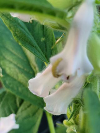 이상숙님의 자유주제 · 자유게시판 작성글 사진