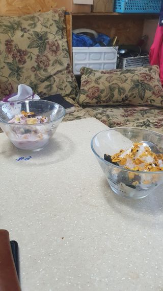 김인선님의 자유주제 · 자유게시판 작성글 사진