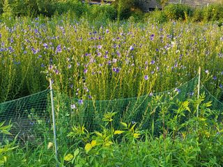 이연화님의 자유주제 · 자유게시판 작성글 사진