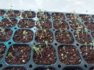 쏘쏘함님의 자유주제 · 자유게시판 작성글 사진