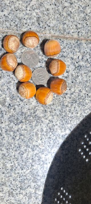 장준재님의 자유주제 · 자유게시판 작성글 사진