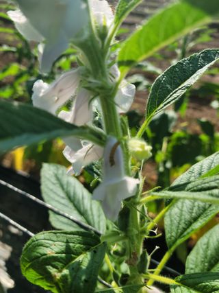 이상숙님의 자유주제 · 자유게시판 작성글 사진