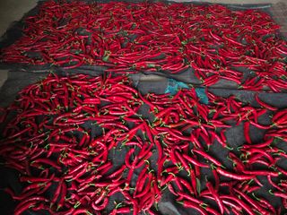 호영님의 자유주제 · 자유게시판 작성글 사진