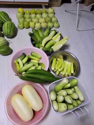 원빈님의 자유주제 · 자유게시판 작성글 사진