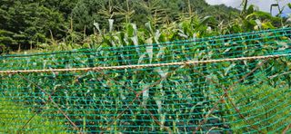 임 촌장.님의 자유주제 · 자유게시판 작성글 사진