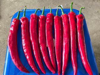 호영님의 자유주제 · 자유게시판 작성글 사진