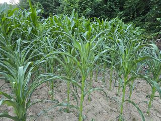 장관덕님의 자유주제 · 자유게시판 작성글 사진