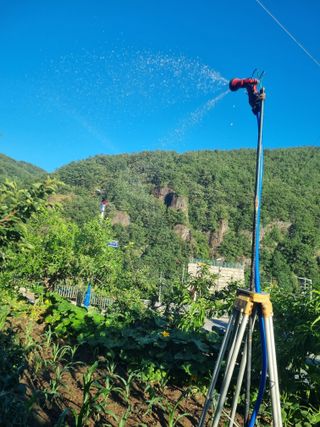 김용대님의 자유주제 · 자유게시판 작성글 사진