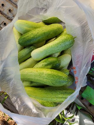 원빈님의 자유주제 · 자유게시판 작성글 사진