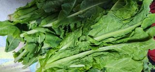 배순녀님의 자유주제 · 자유게시판 작성글 사진