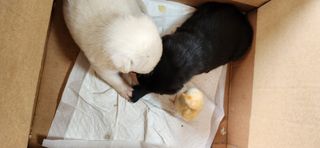 배순녀님의 자유주제 · 자유게시판 작성글 사진