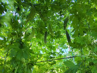 원빈님의 자유주제 · 자유게시판 작성글 사진