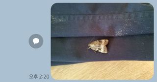 연모 자연의행복님의 자유주제 · 자유게시판 작성글 사진