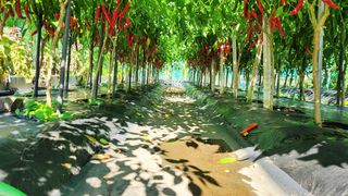 권오술하지마koss님의 자유주제 · 사진전 작성글 사진