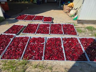 호영님의 자유주제 · 자유게시판 작성글 사진