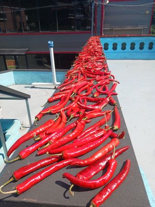 조정분(사랑이엄마)님의 자유주제 · 자유게시판 작성글 사진