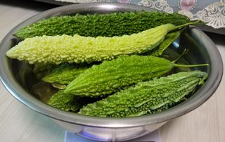 원빈님의 자유주제 · 자유게시판 작성글 사진