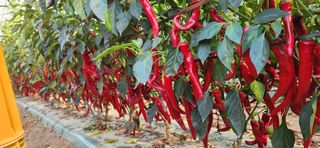 박종혁 님의 자유주제 · 자유게시판 작성글 사진