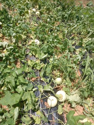 Happy100w님의 자유주제 · 자유게시판 작성글 사진