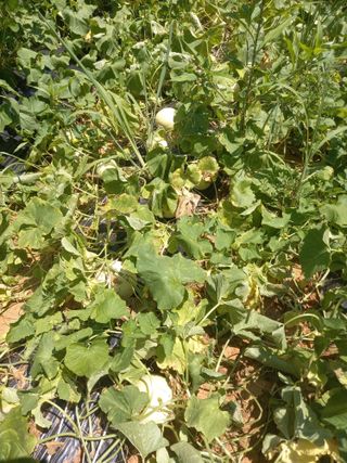 Happy100w님의 자유주제 · 자유게시판 작성글 사진