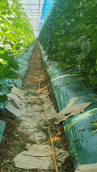 김인선님의 자유주제 · 자유게시판 작성글 사진