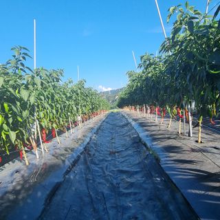 이종권님의 자유주제 · 자유게시판 작성글 사진