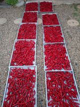 팜모닝 자유주제·자유게시판 게시글 이미지