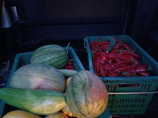 유영옥님의 자유주제 · 자유게시판 작성글 사진