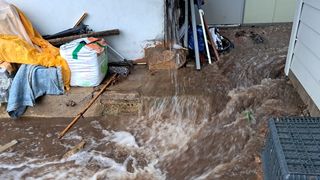 서은숙님의 자유주제 · 자유게시판 작성글 사진