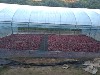 박무순님의 작성글 사진