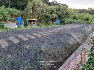 전진규.해돋이님의 농사, 무엇이든 물어보세요! · 참여글 작성글 사진