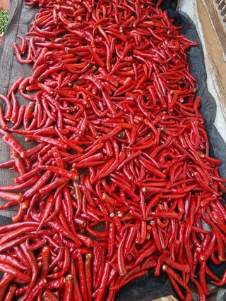 이상응님의 자유주제 · 자유게시판 작성글 사진