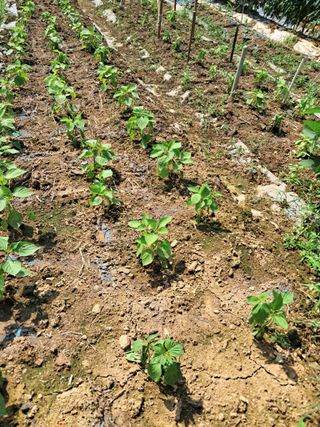 최한기님의 자유주제 · 자유게시판 작성글 사진