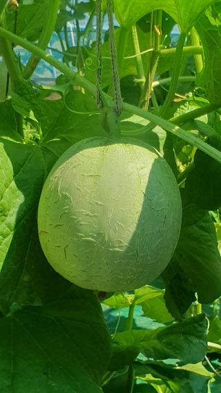 김인선님의 자유주제 · 자유게시판 작성글 사진