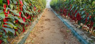 박종혁 님의 자유주제 · 자유게시판 작성글 사진