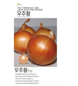 대산농사대장님의 양파·자유게시판 작성글 사진