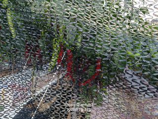 전진규.해돋이님의 농사, 무엇이든 물어보세요! · 참여글 작성글 사진