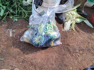 최한기님의 자유주제 · 자유게시판 작성글 사진