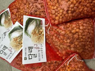 주주씨앗님의 자유주제 · 자유게시판 작성글 사진