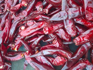 박무순님의 작성글 사진