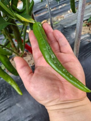 박귀님의 자유주제 · 자유게시판 작성글 사진