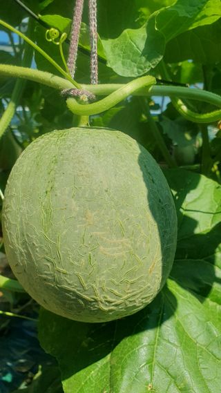 김인선님의 자유주제 · 자유게시판 작성글 사진