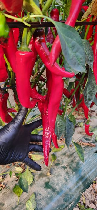 박종혁 님의 자유주제 · 자유게시판 작성글 사진