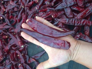 박무순님의 작성글 사진