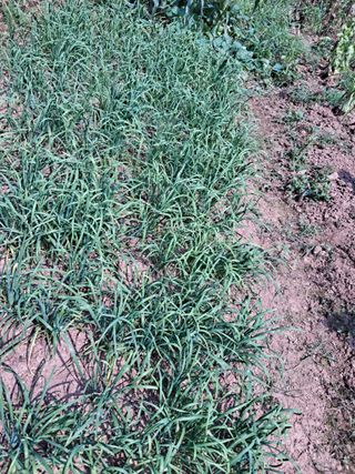 최한기님의 자유주제 · 자유게시판 작성글 사진