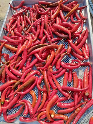 전희분님의 자유주제 · 자유게시판 작성글 사진