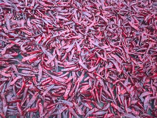 박무순님의 작성글 사진