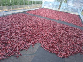 박무순님의 작성글 사진