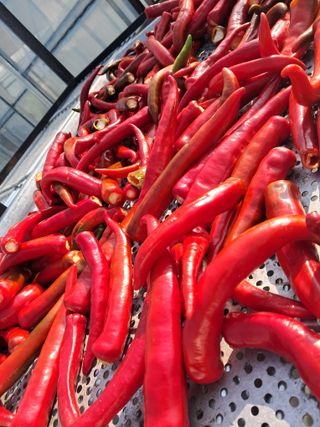 전희분님의 자유주제 · 자유게시판 작성글 사진