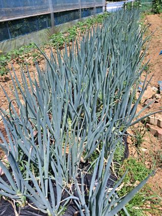 최한기님의 자유주제 · 자유게시판 작성글 사진